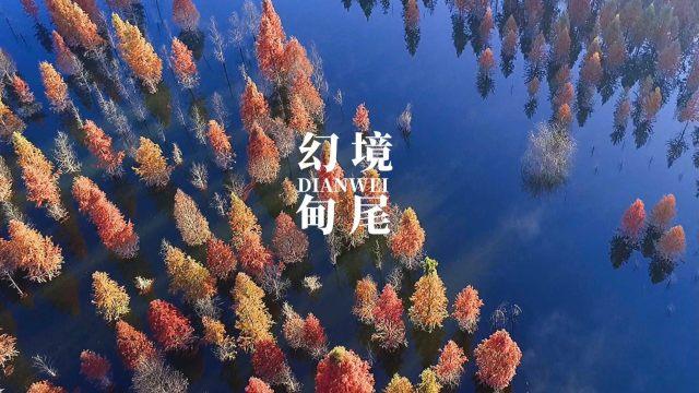 美人鱼的聚会
