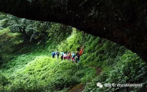见缝插刀2无敌版