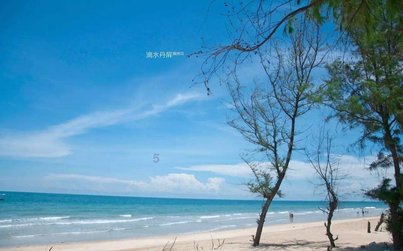 燃烧吧大脑装瓶子游戏