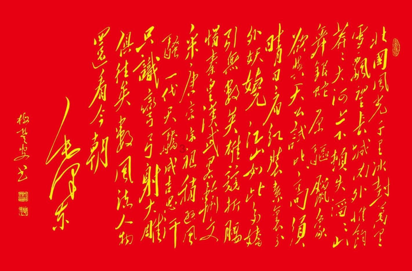救援秀气的男孩