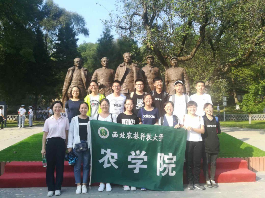 奥利姐妹换装