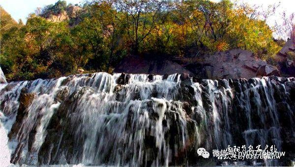 小僵尸射飞鸟