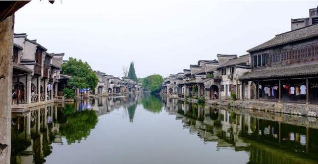 动物帮帮忙保卫家园
