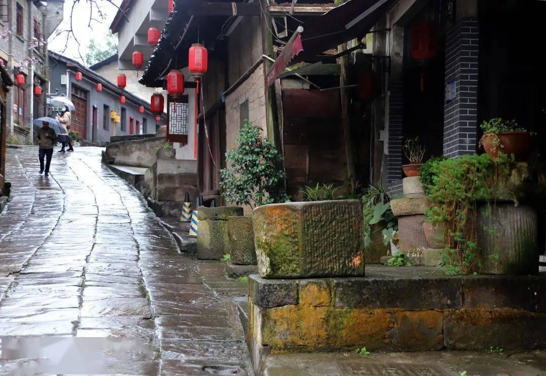 植物大战僵尸：花园战争