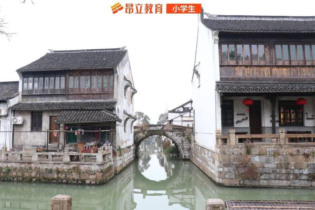 红莲之王