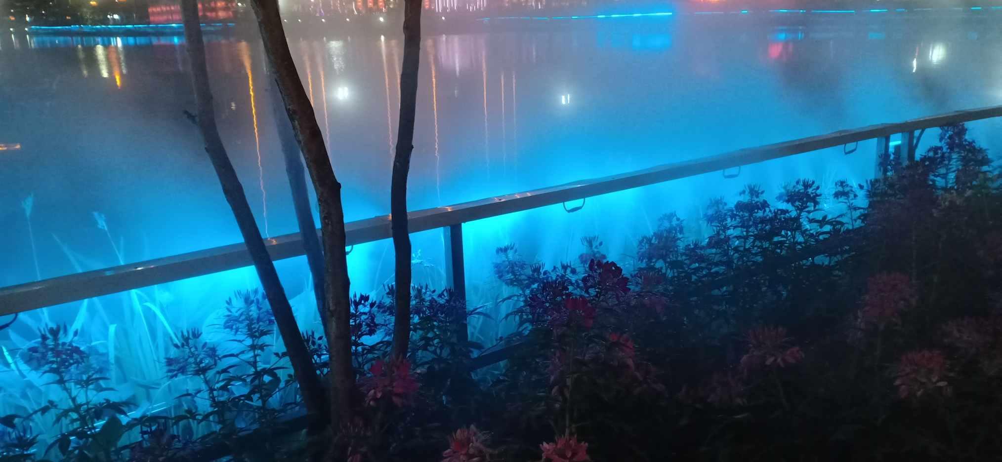 春雨直播app